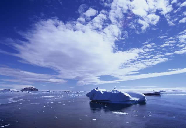 It Looks Beautiful, But It's Actually Deadly - What Is The 'Antarctic Icicle Of Death' All About?
